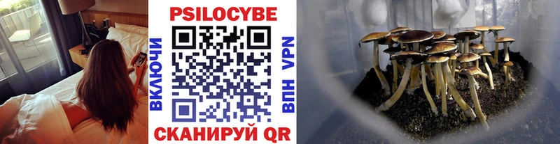 Галлюциногенные грибы Psilocybe  Фёдоровский 